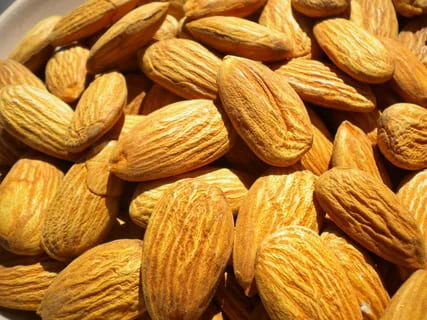 تصویر 3 از خرید و فروش بادام درختی یزد با شرایط فوق العاده